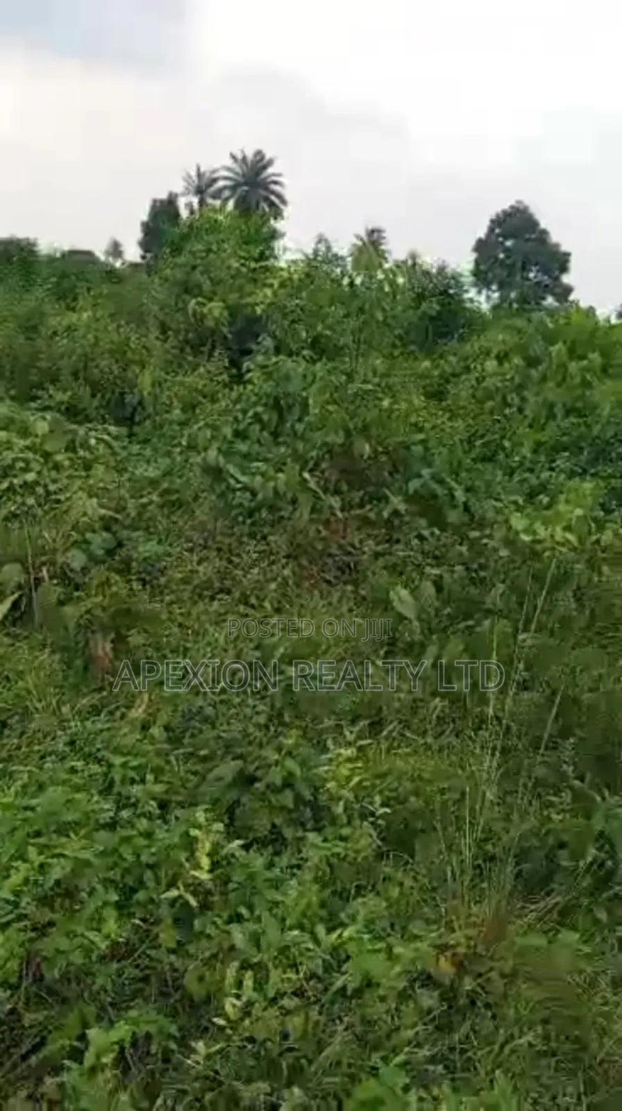 Land for Sale in Eneka