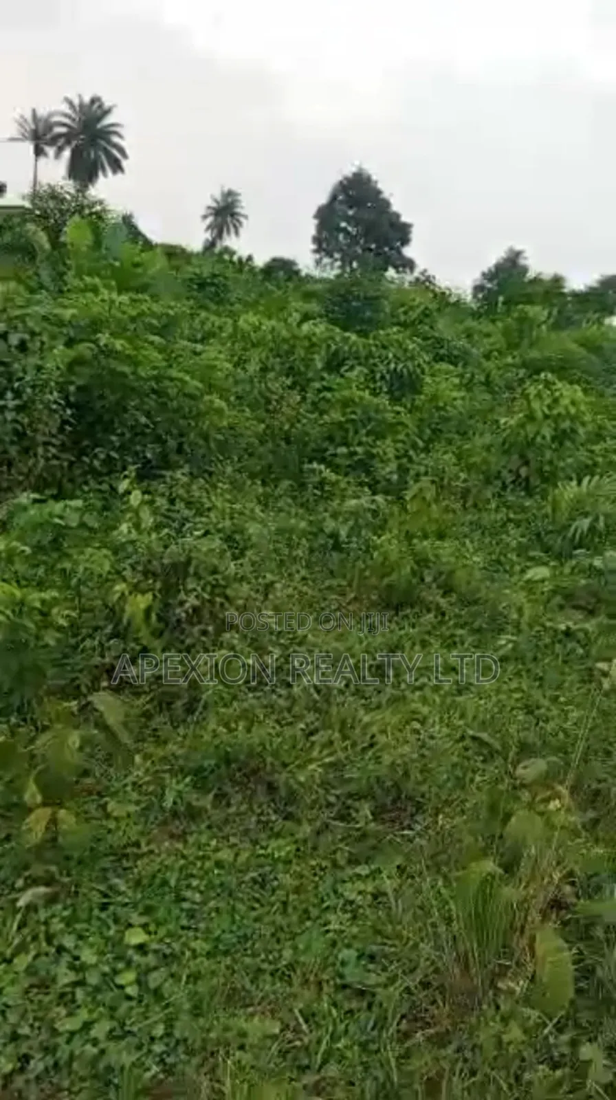 Land for Sale in Eneka
