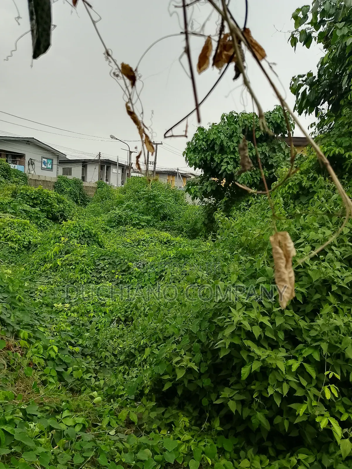Ogudu Ori-Oke: 1,374sqm Land for Sale in Ogudu-Orioke