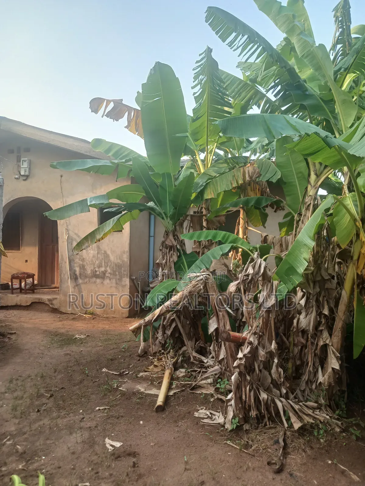 4bdrm Bungalow in Ayobo for sale in Ayobo
