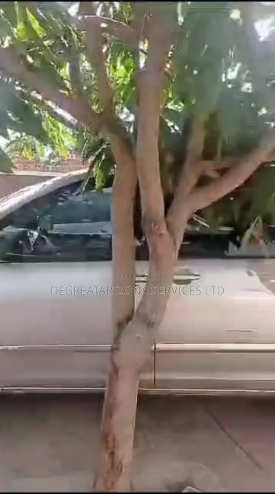 Hotel for Sale – Awka Capital Territory, Anambra State in Awka