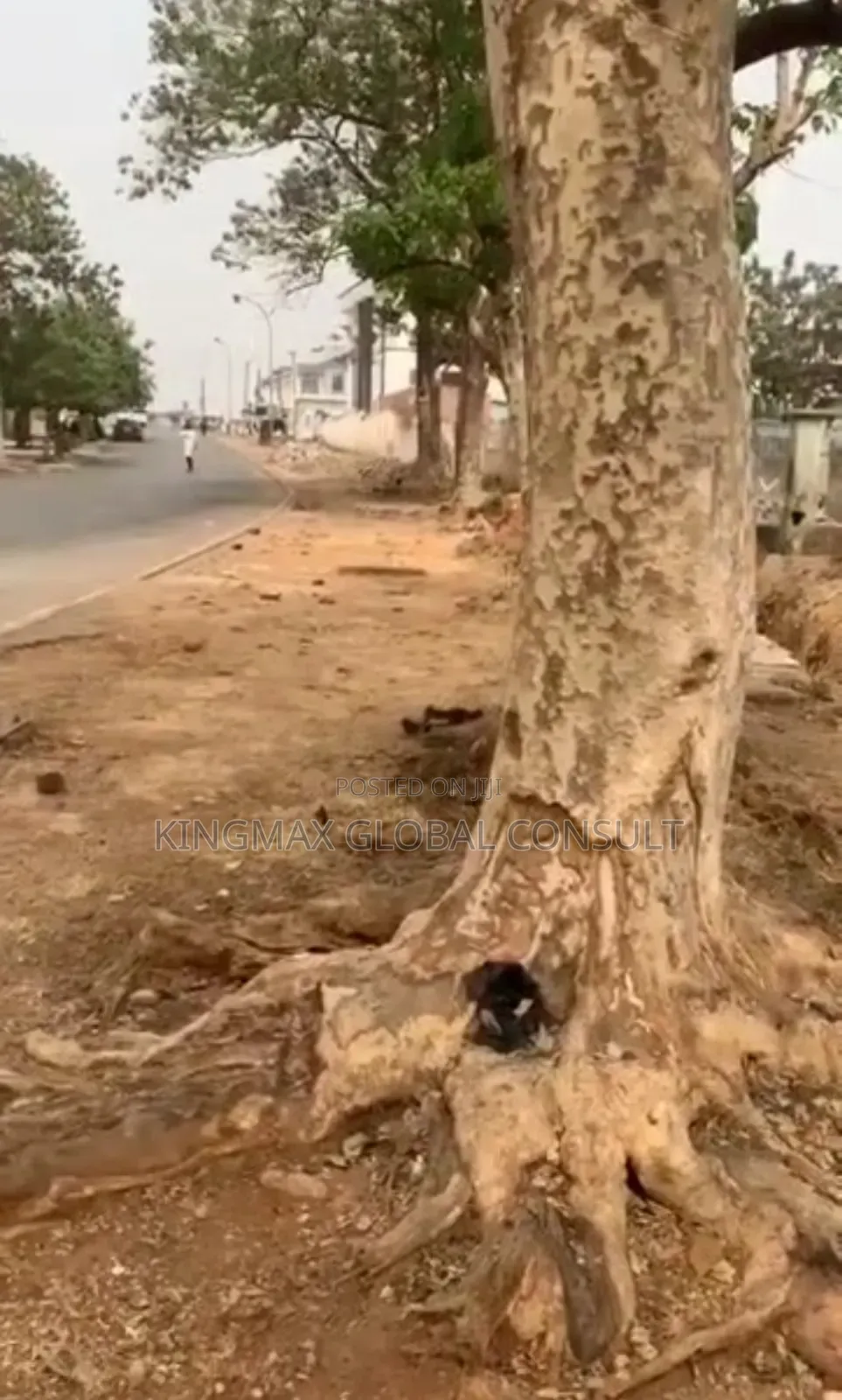 3000sqm Residential Plot ( Can Be Converted to Commercial ) R of O in Wuse