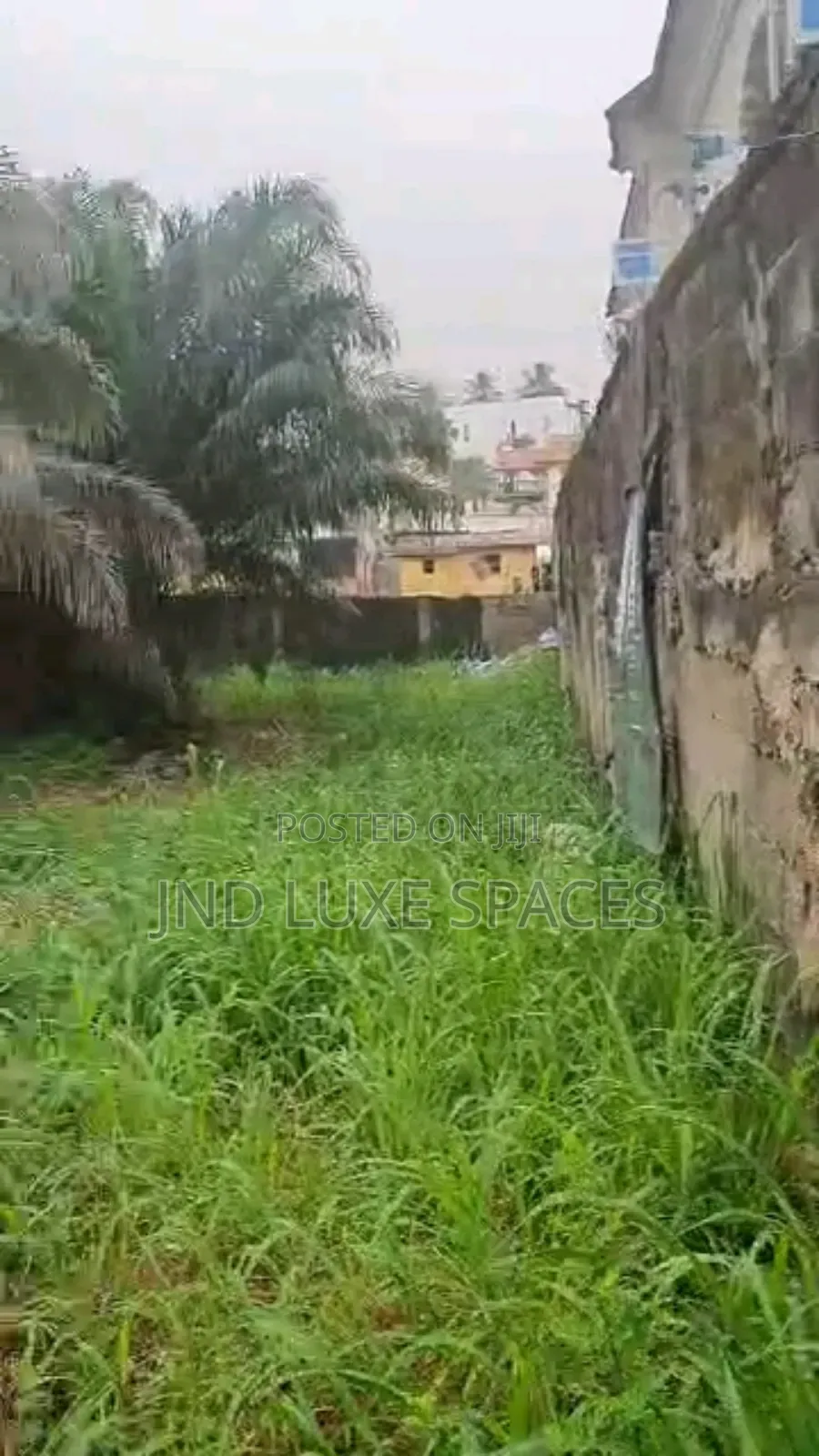 Joint Venture in Banana Island in Banana Island