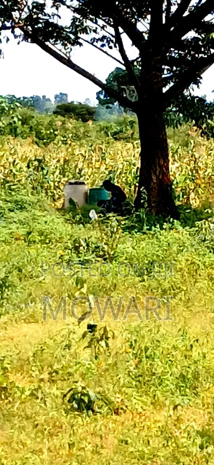 Land for Sale • Issele-Mkpetime • Near Asaba • Secure Docs in Aniocha North