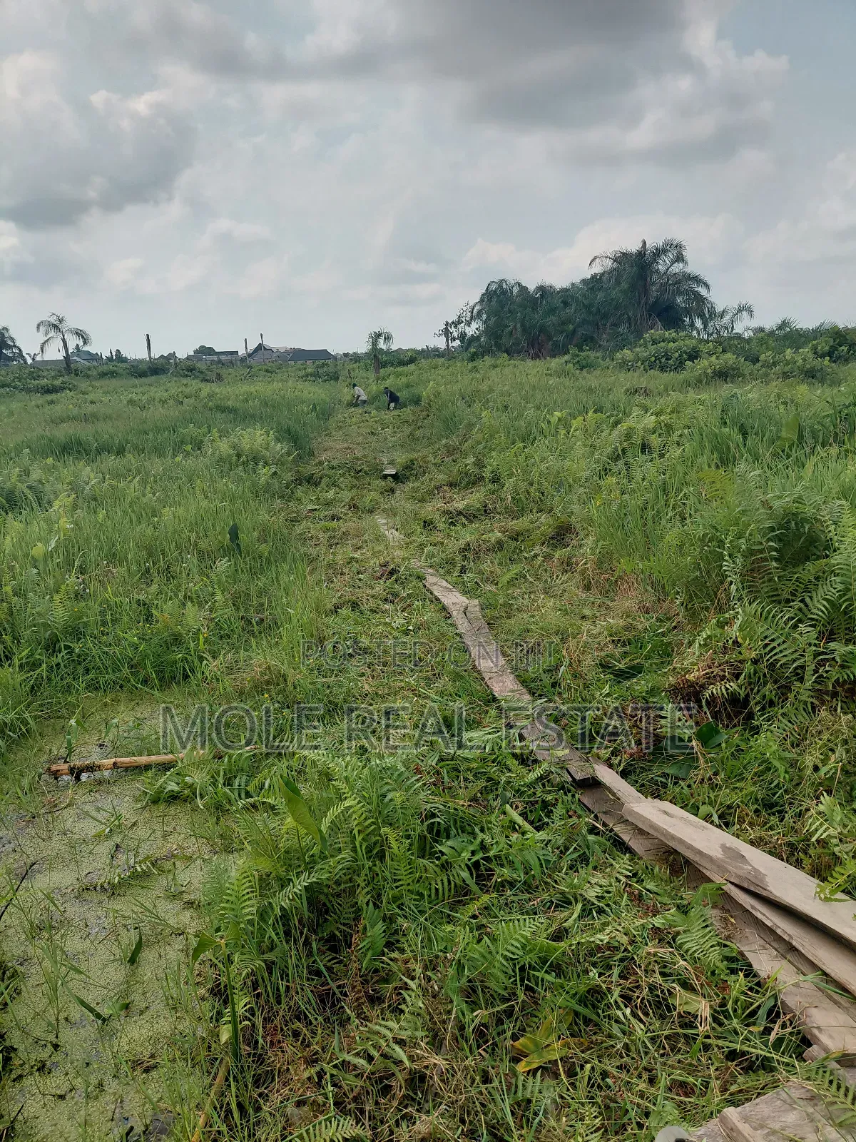 3000sqm Mixed Zone Banana Island Joint Venture Ikoyi Lagos in Banana Island