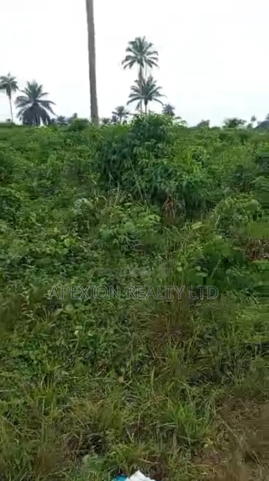 Land for Sale in Ademola Adetokunbo