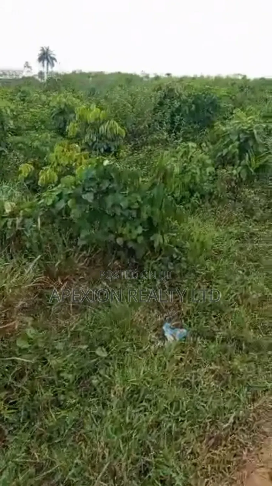 Land for Sale in Ademola Adetokunbo