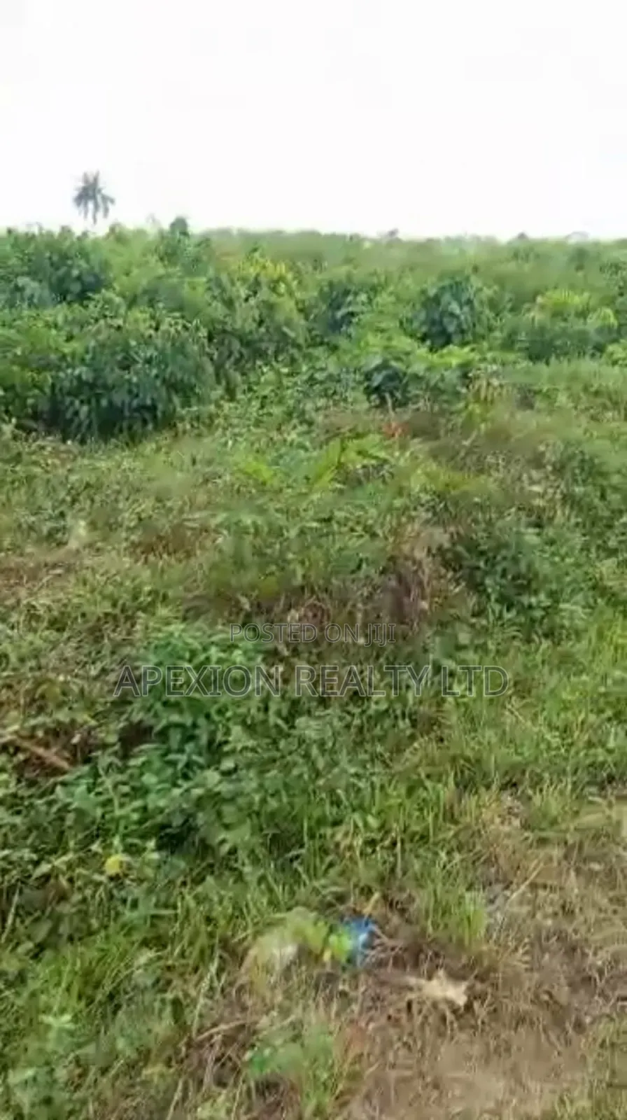 Land for Sale in Ademola Adetokunbo