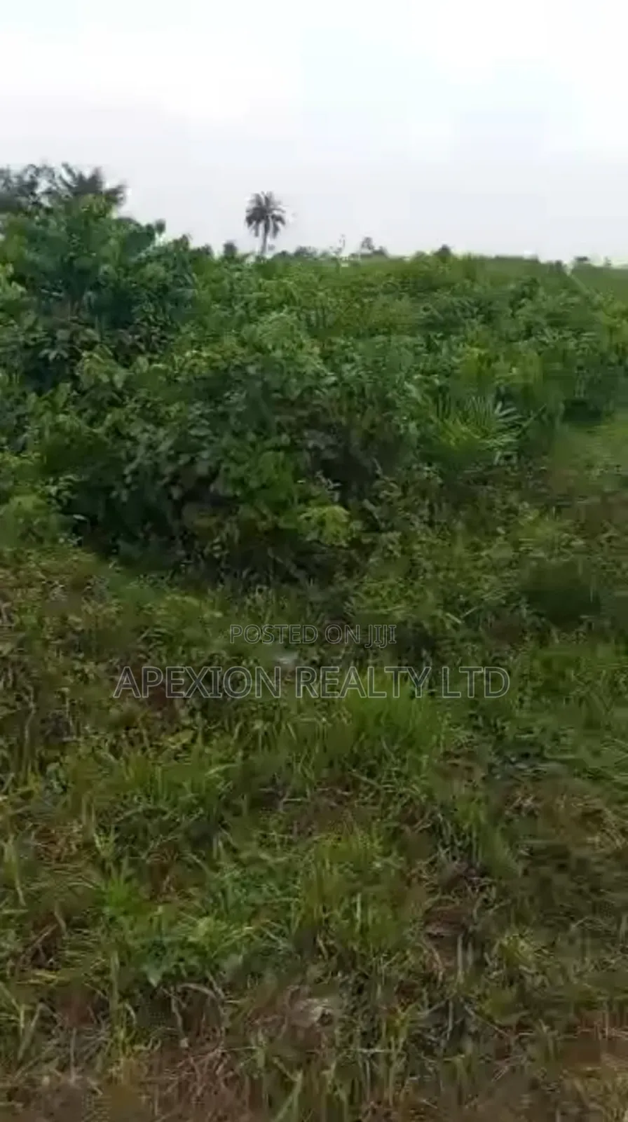 Land for Sale in Ademola Adetokunbo