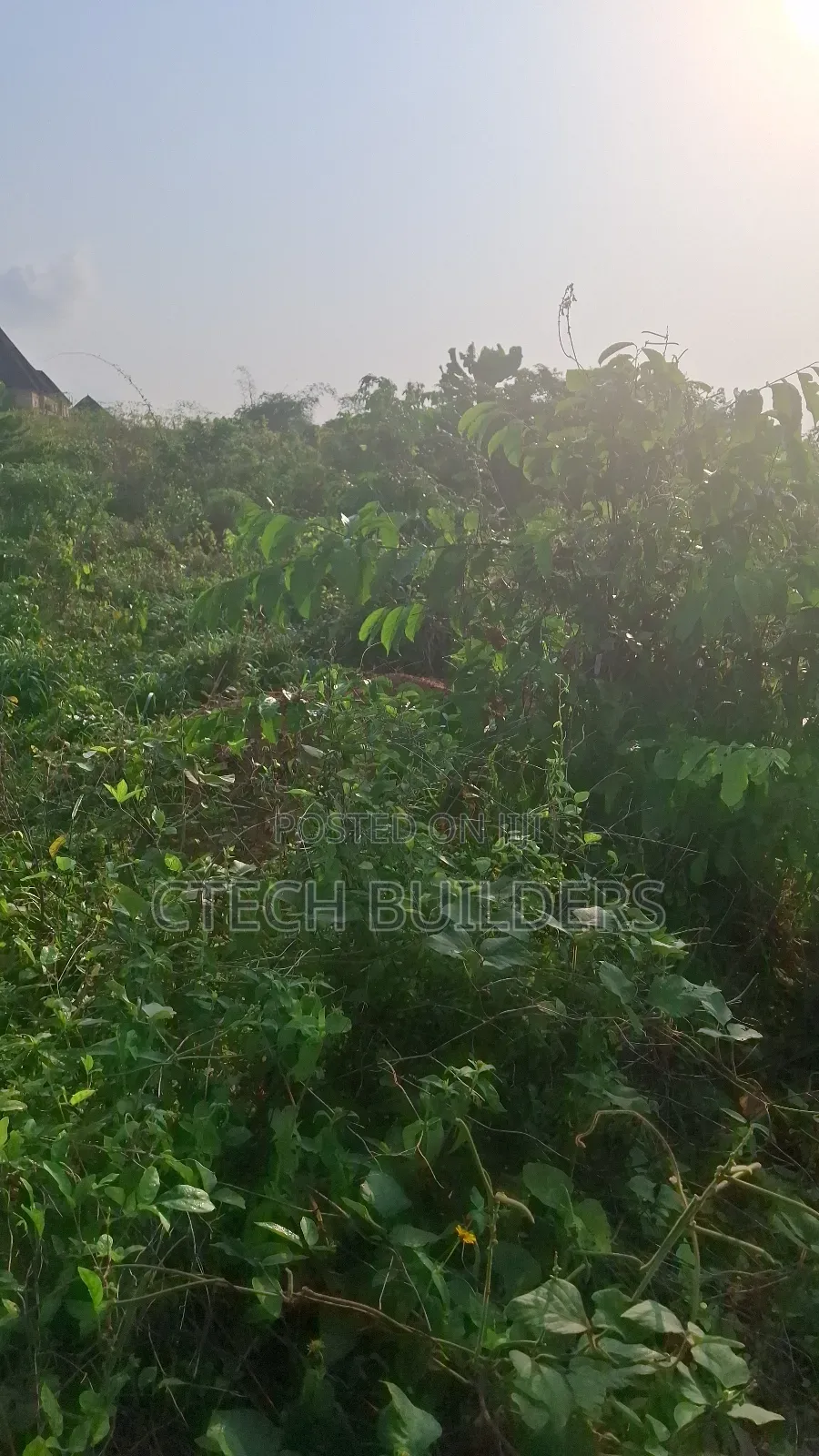 Estate Land for Sale: No Agent Fee in Benin City