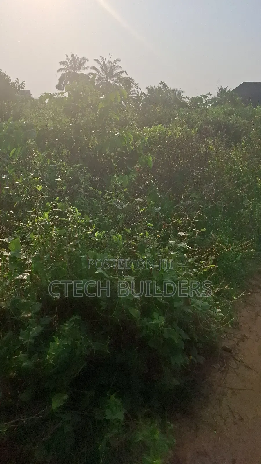 Estate Land for Sale: No Agent Fee in Benin City