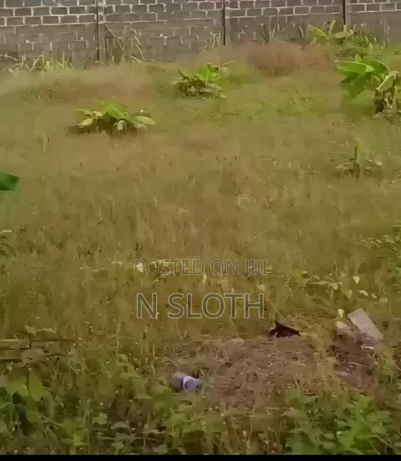 Land for Sale (60 Plots) in Bogije