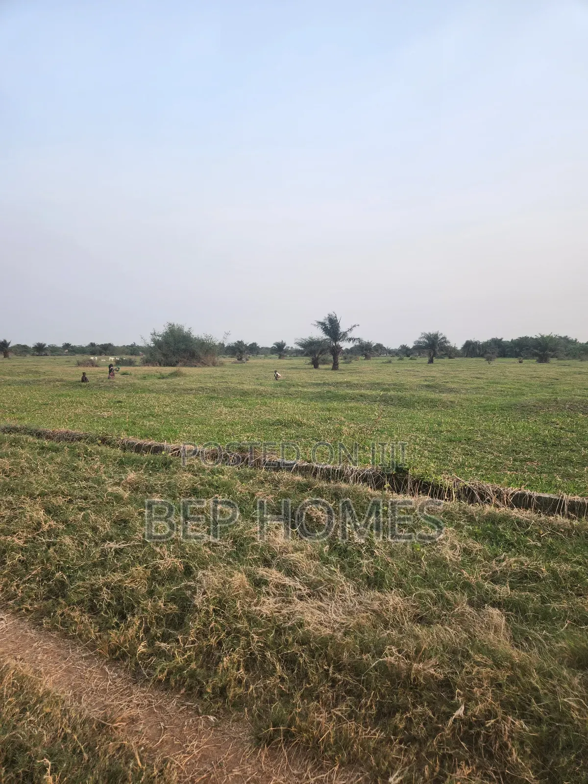 Distress Sale Land in Opic Isheri North With C.Of O in Kosofe / Kosofe