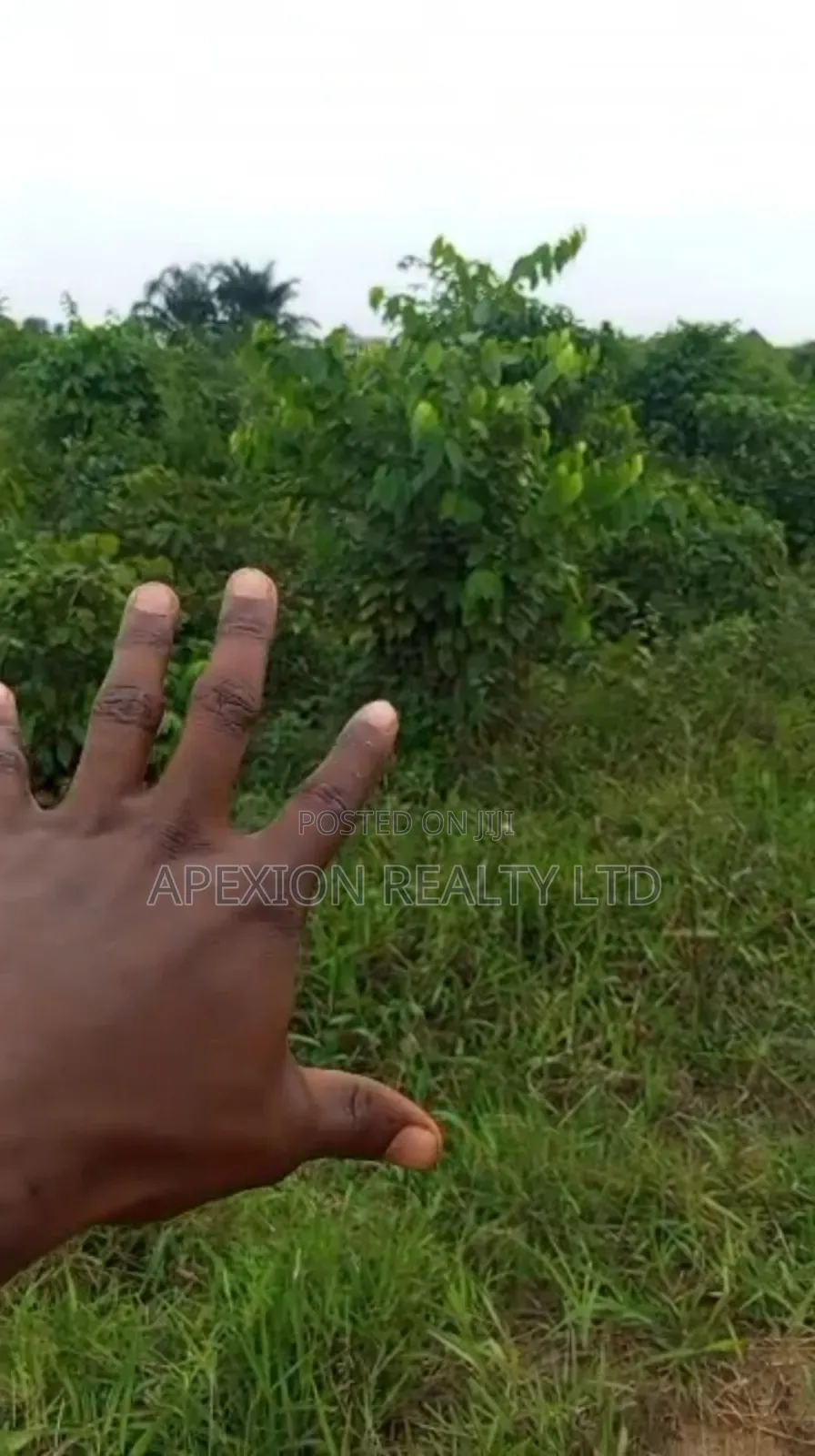 Land for Sale in Eleme