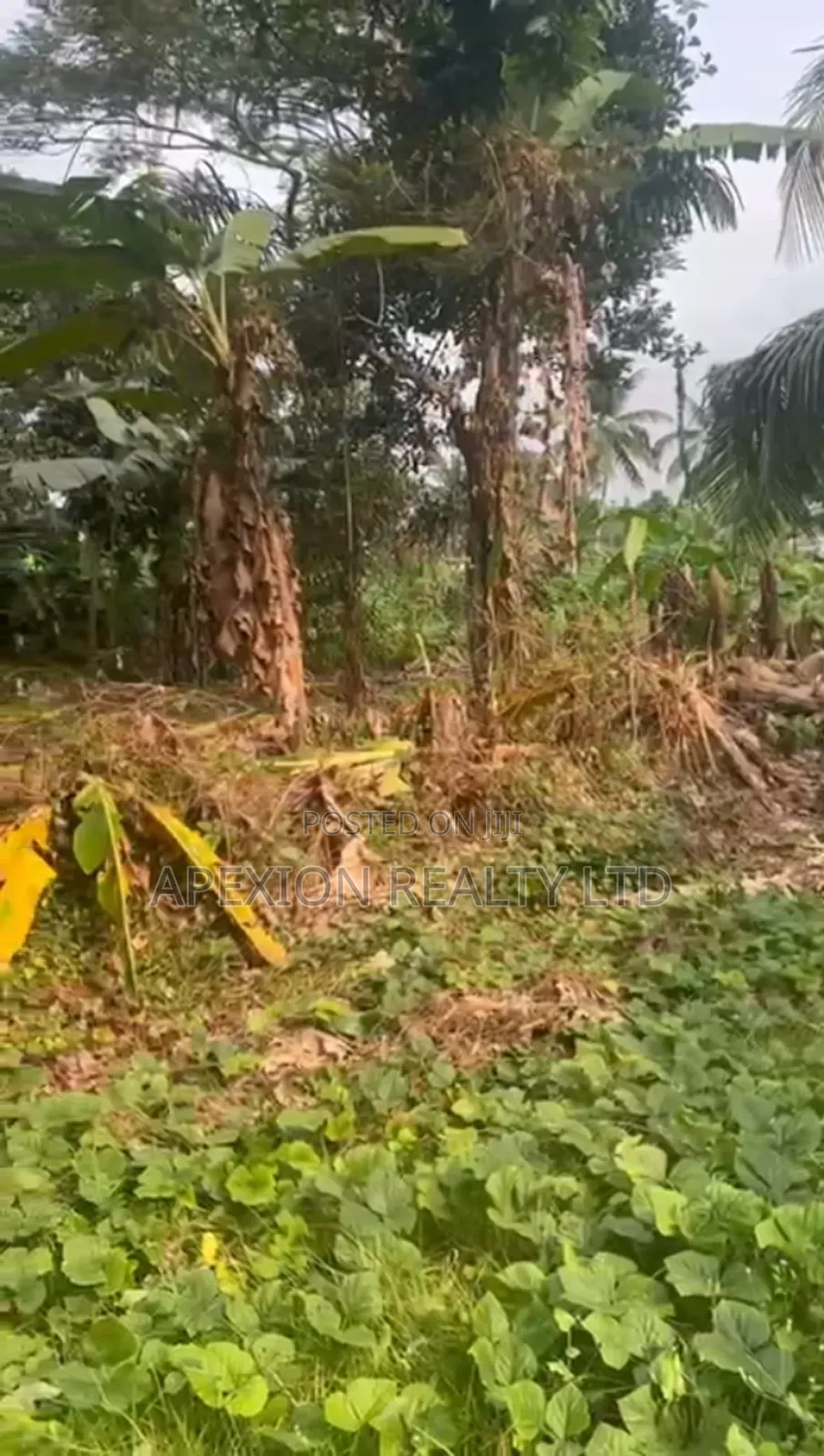 Land For Sale in Idu Industrial