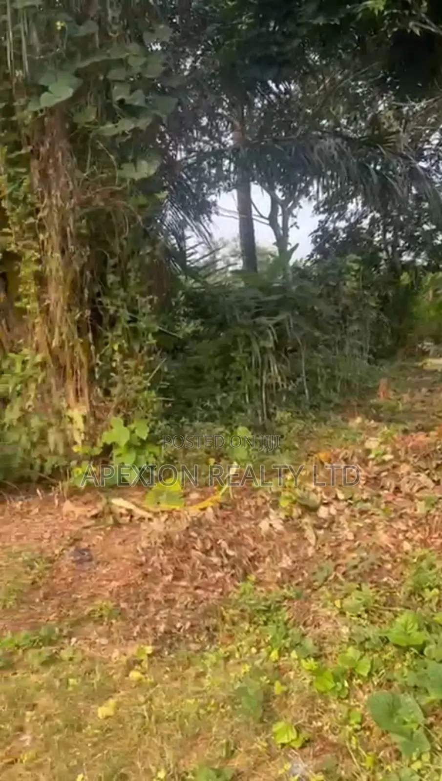 Land For Sale in Idu Industrial