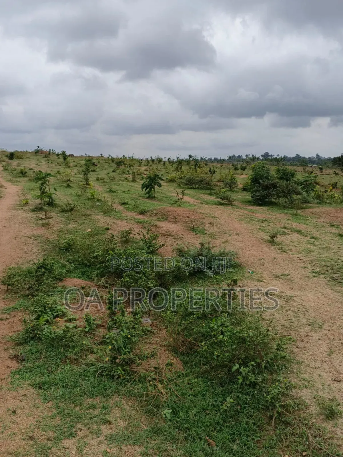 Full Six Acres of Land Adjt Ibadan Central Abattoir, Akinyele Ibadan in Ibadan