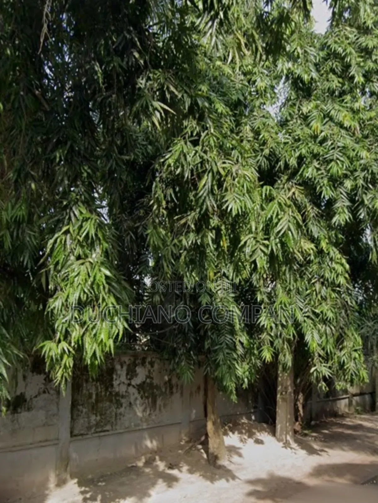 Oniru: 1,315 SQM Land for Sale in Victoria Island Extension
