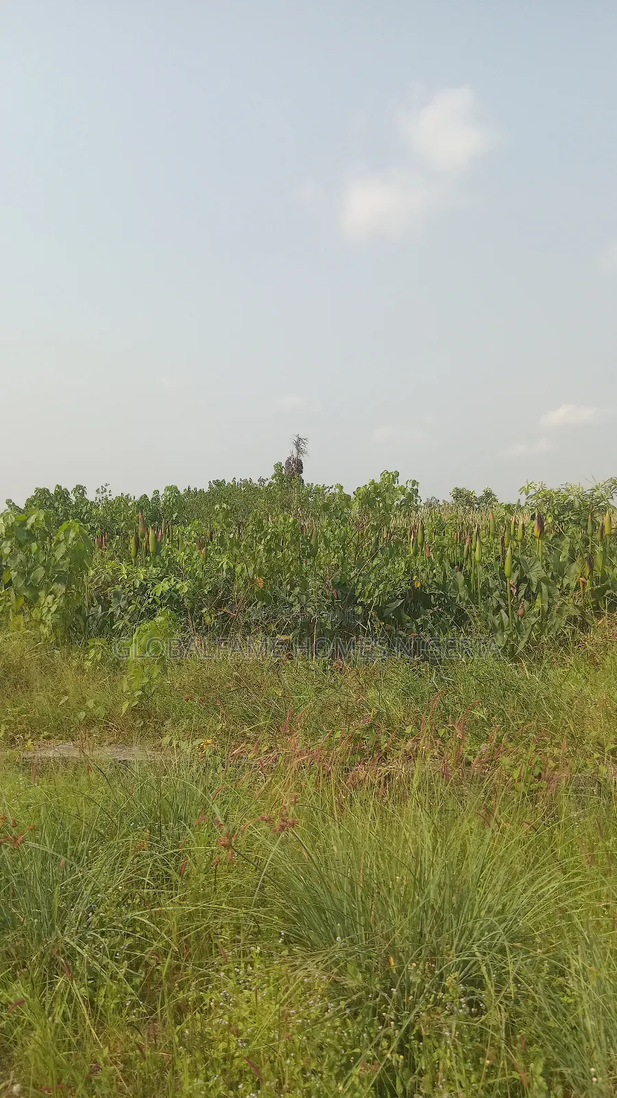 Land for Sale in Lakowe