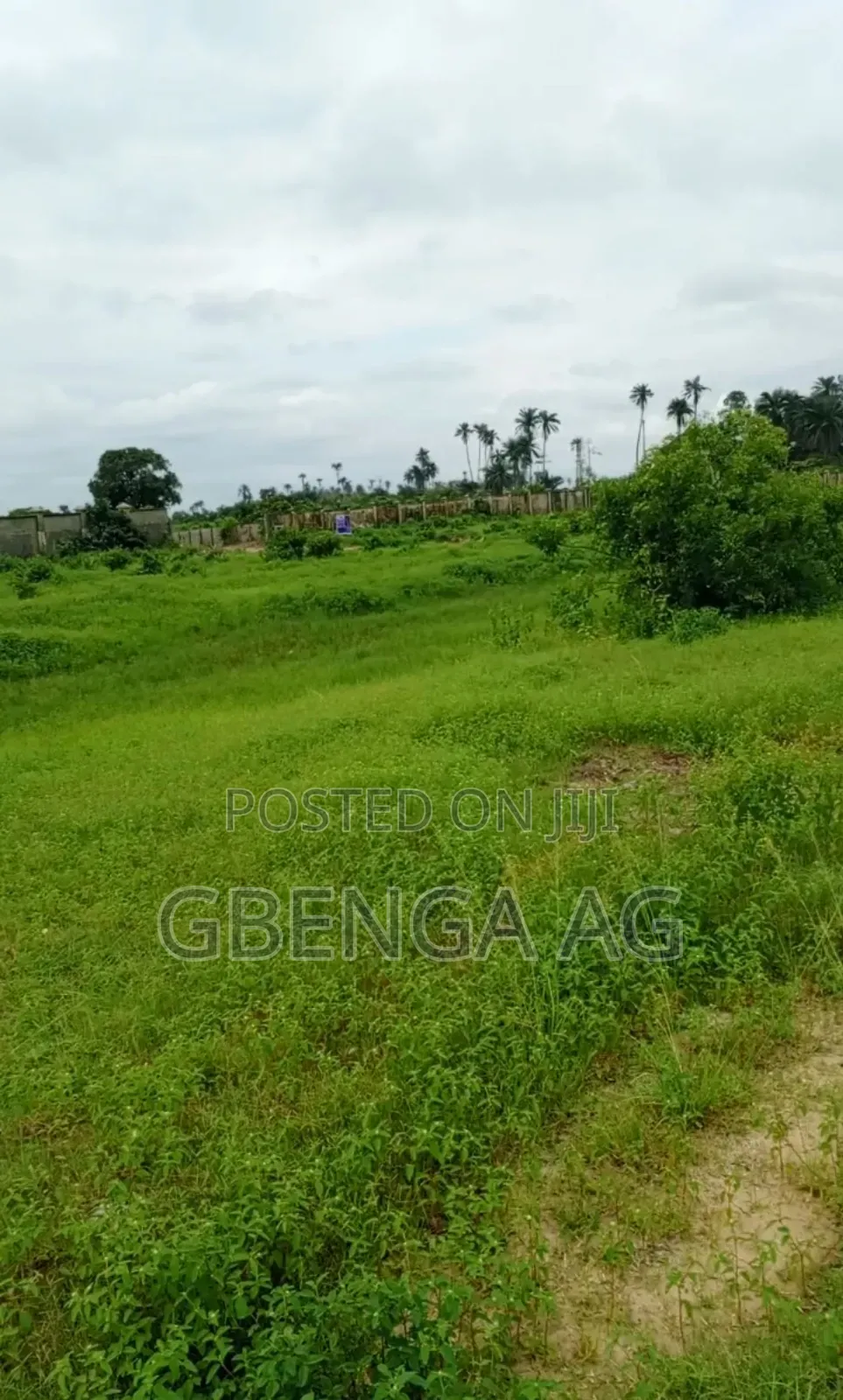 30 Hectares of Land Facing Coaster Road Ibeji Lekki Lagos for Sale in Magbon-Alade