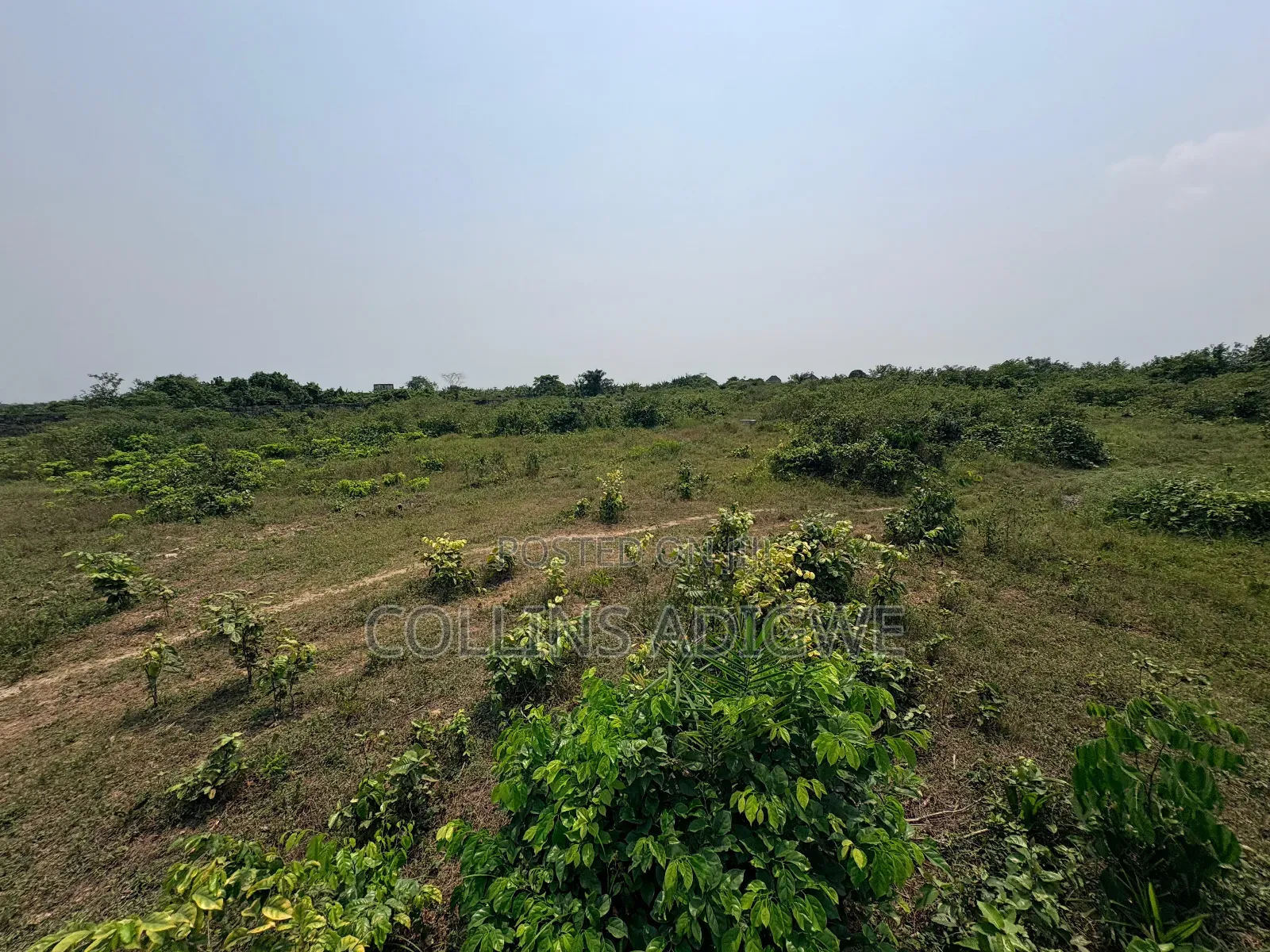 600sqm Land at Spring Estate Ibeju Lekki in Ibeju