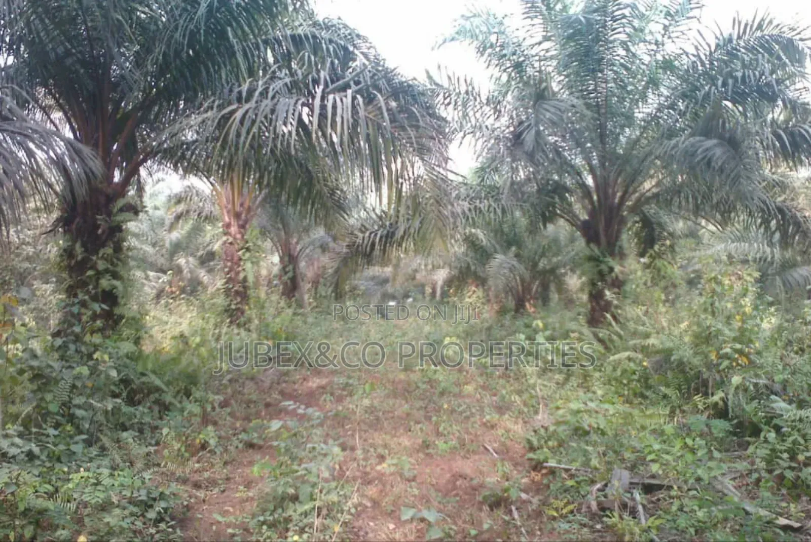 Hectares of Land at Kuchi Yako Ext Abuja in Kuje