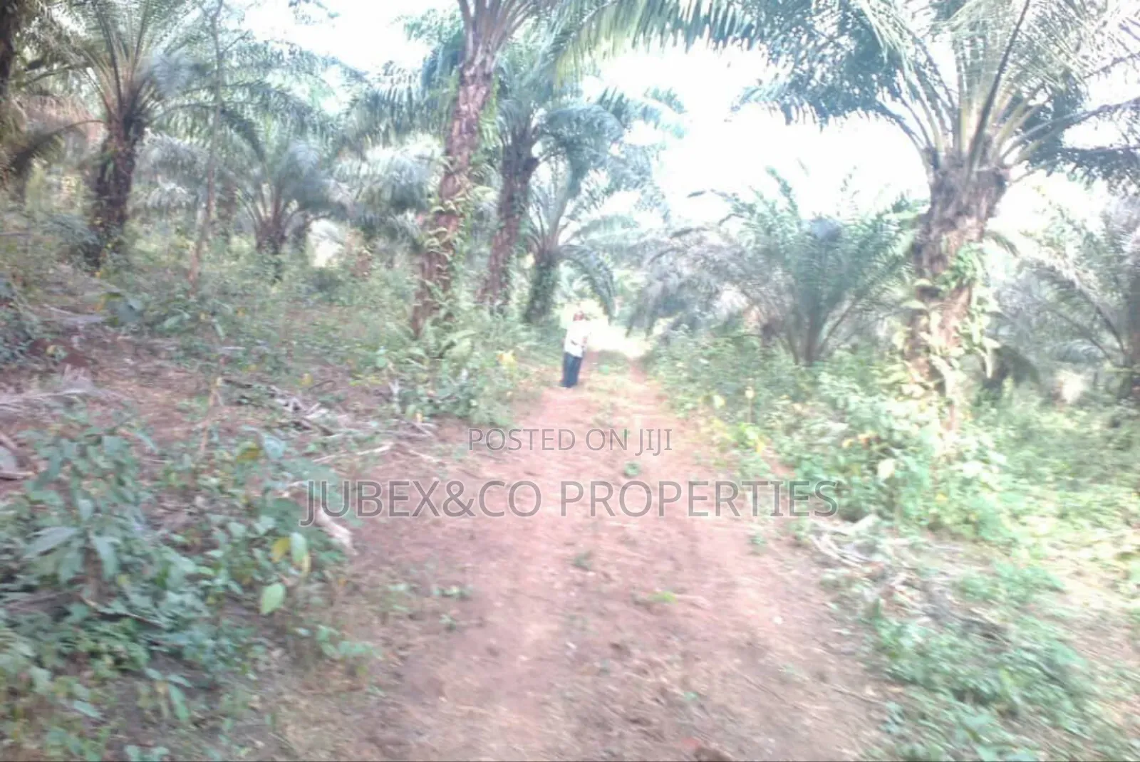 Hectares of Land at Kuchi Yako Ext Abuja in Kuje