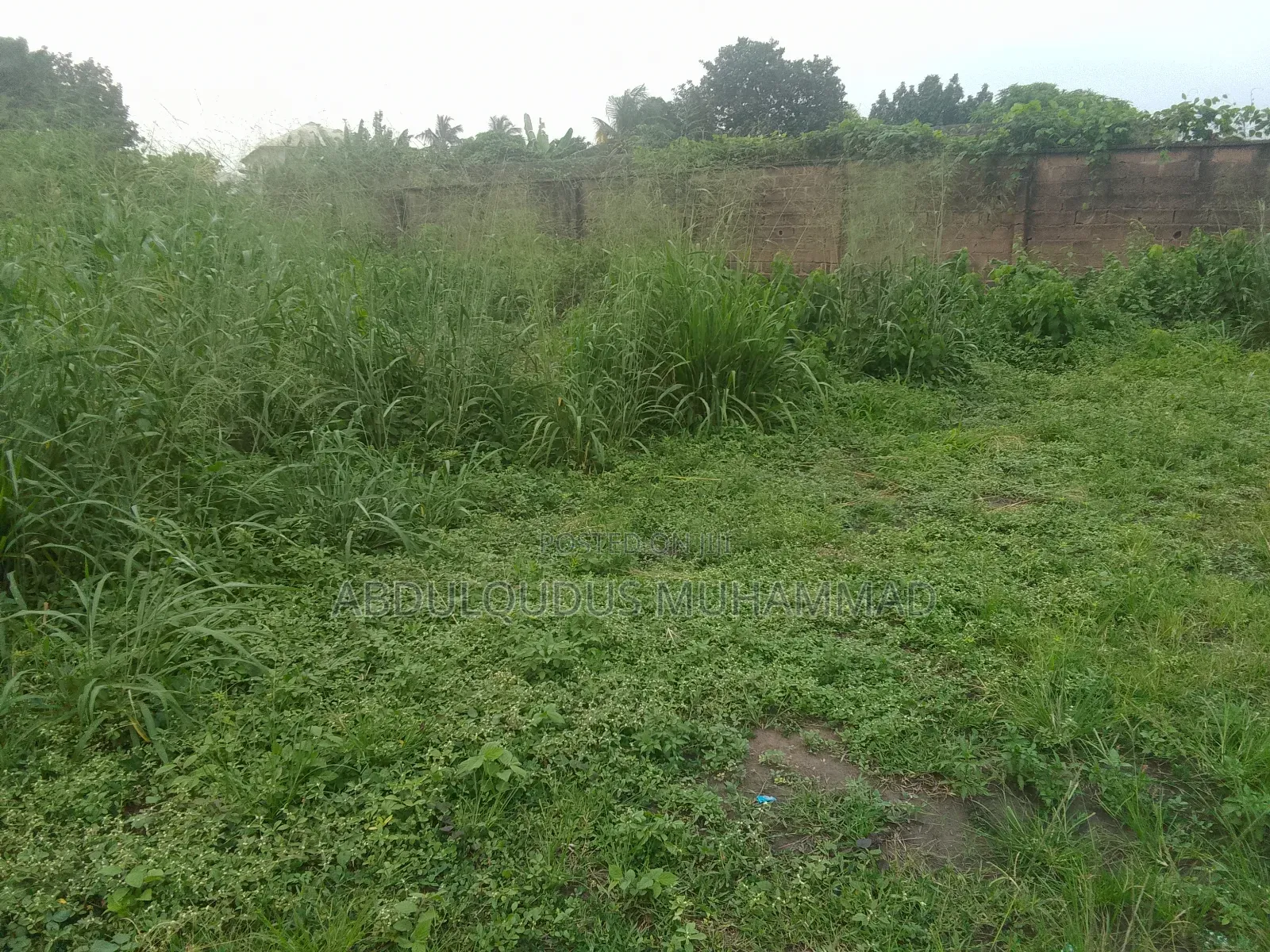 6: Plots of Land Facing Express Road in Ado-Odo/Ota