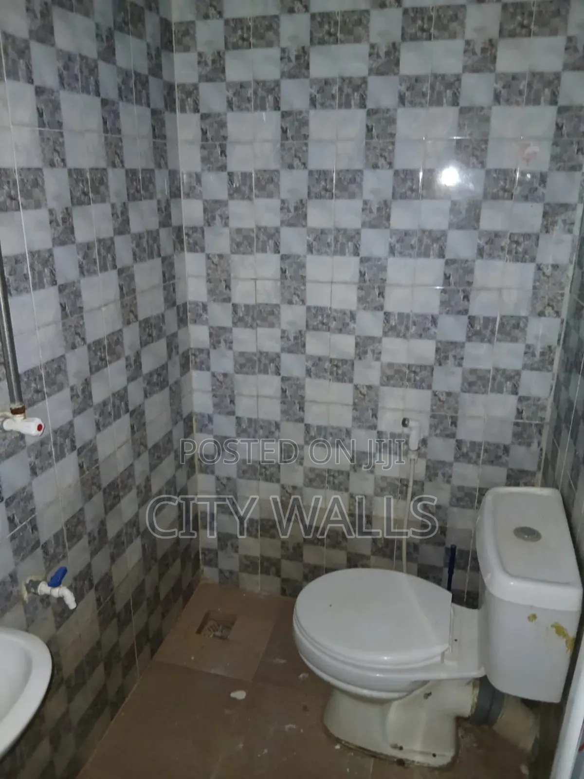 Mini Flat in Badore for rent in Badore