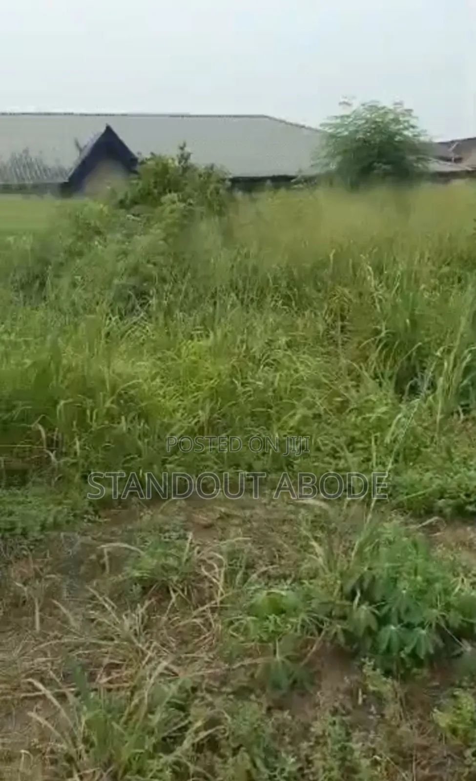 2 Plots of Land Urgently for Sale in Meiran in Meiran