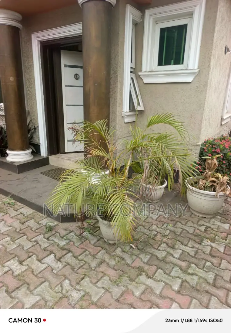 Furnished 4bdrm Bungalow in Ogba for rent in Ogba