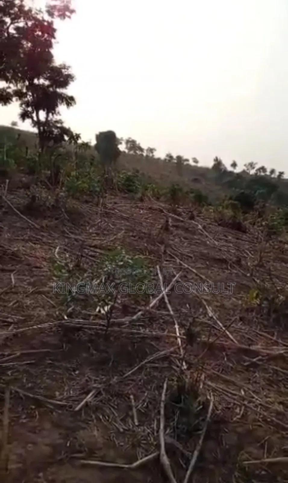 Maitama 2, 2000sqm C of O Collected in Maitama