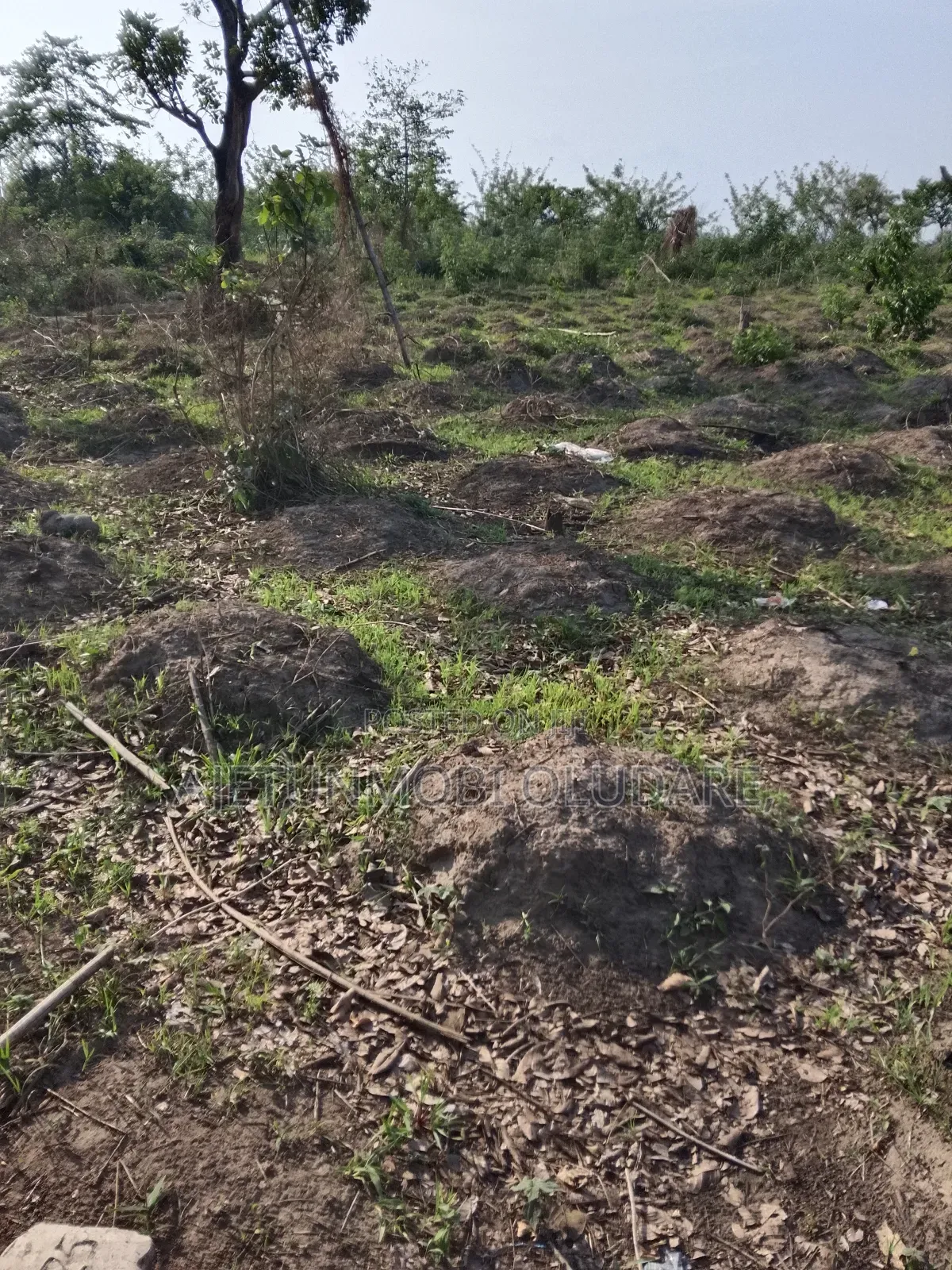 Plot and Land for Sale in Ado Ekiti