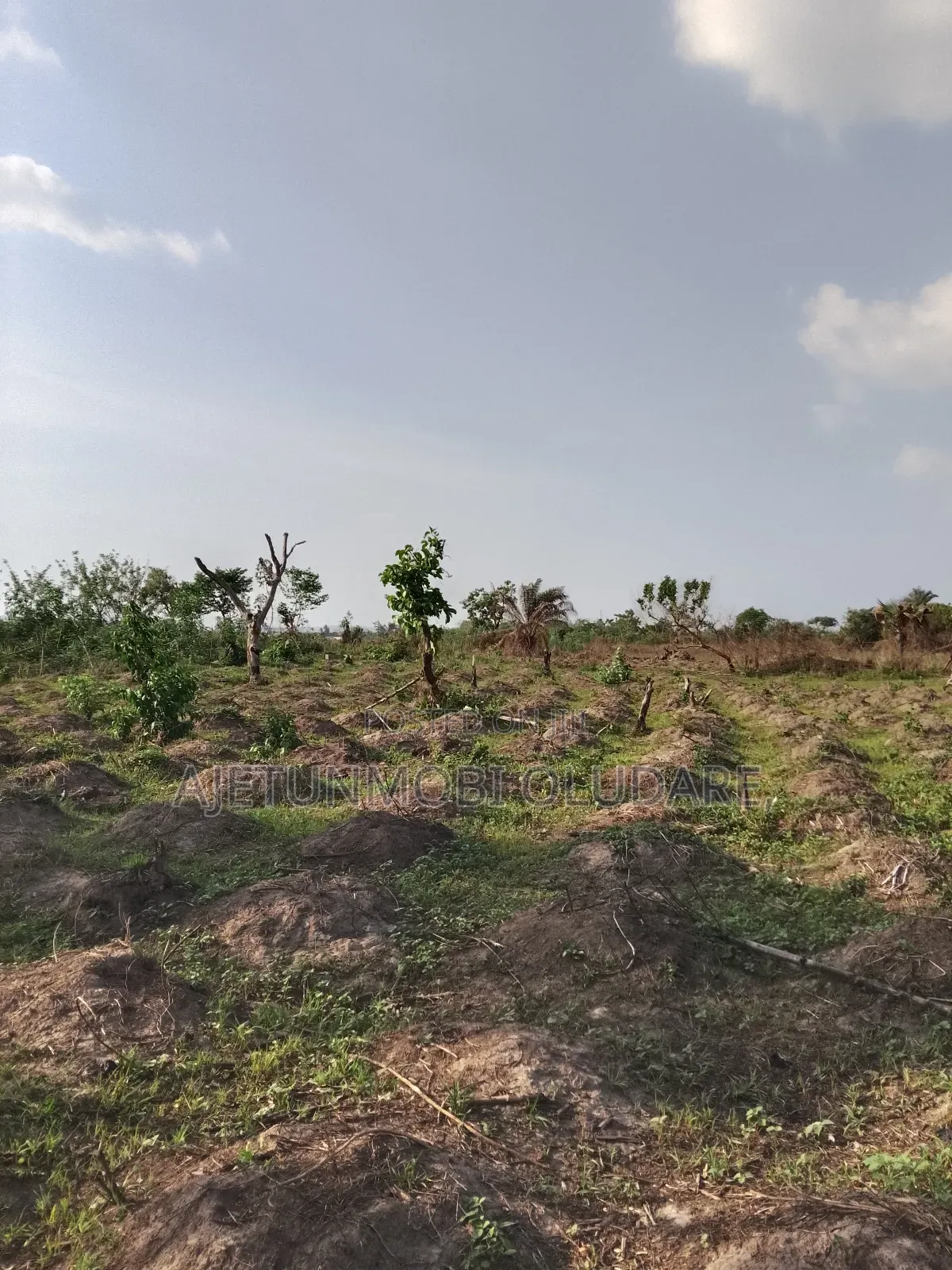 Plot and Land for Sale in Ado Ekiti