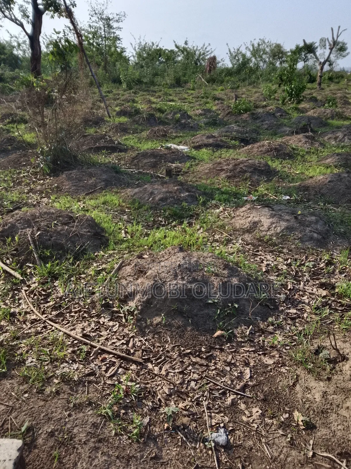 Plot and Land for Sale in Ado Ekiti