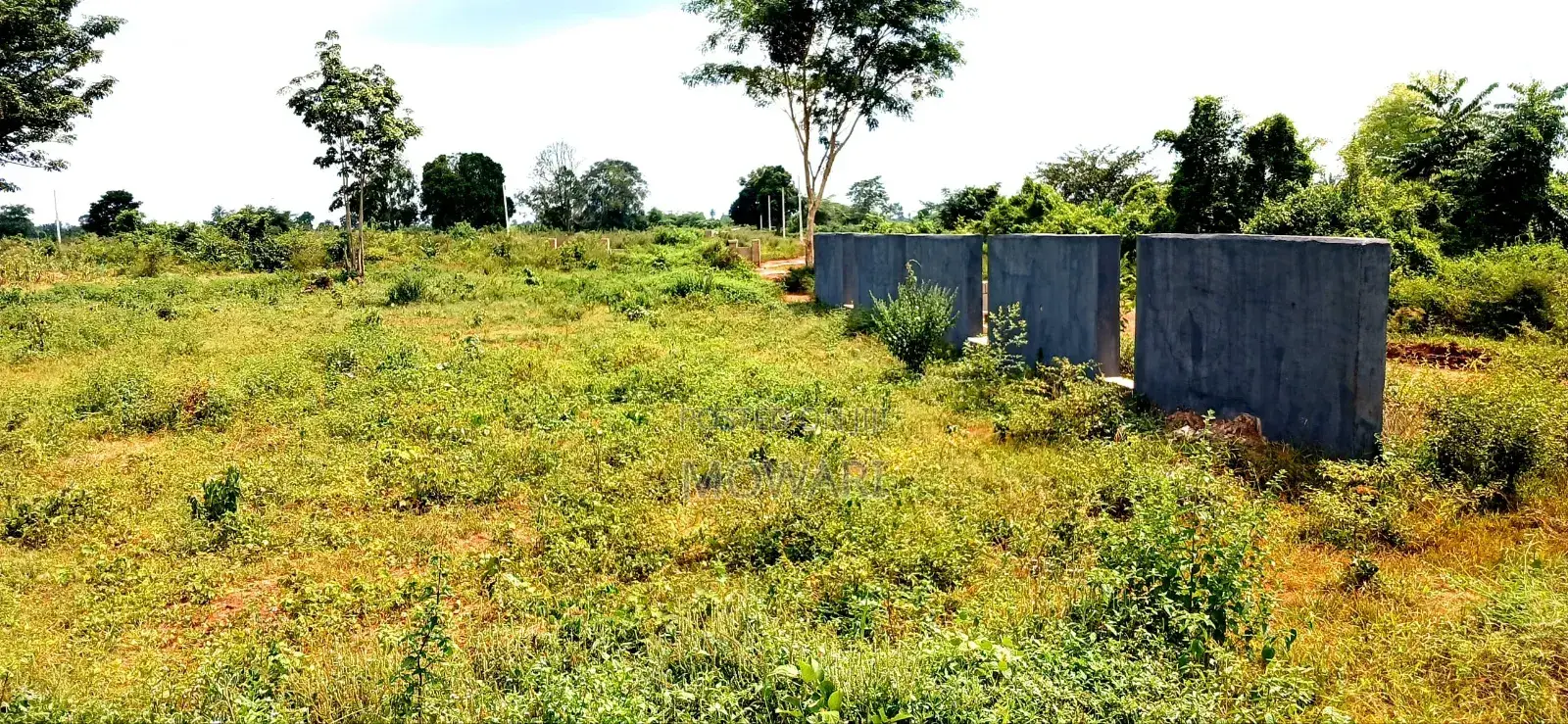 Land in Issele-Mkpetime, Delta • 464sqm • Deed Survey • ₦3.5m in Aniocha North