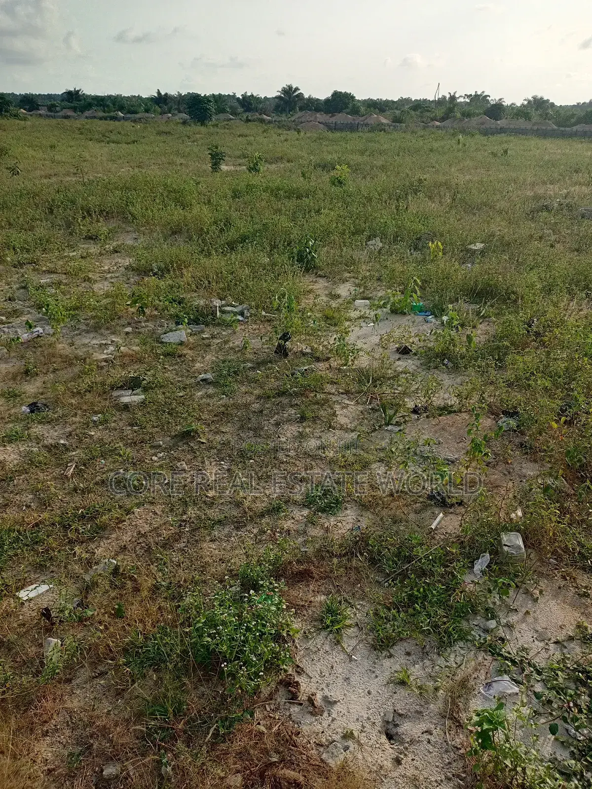 A Plot for 500 Residential and Farm Land Ilara Abeokuta Ogun in Abeokuta South