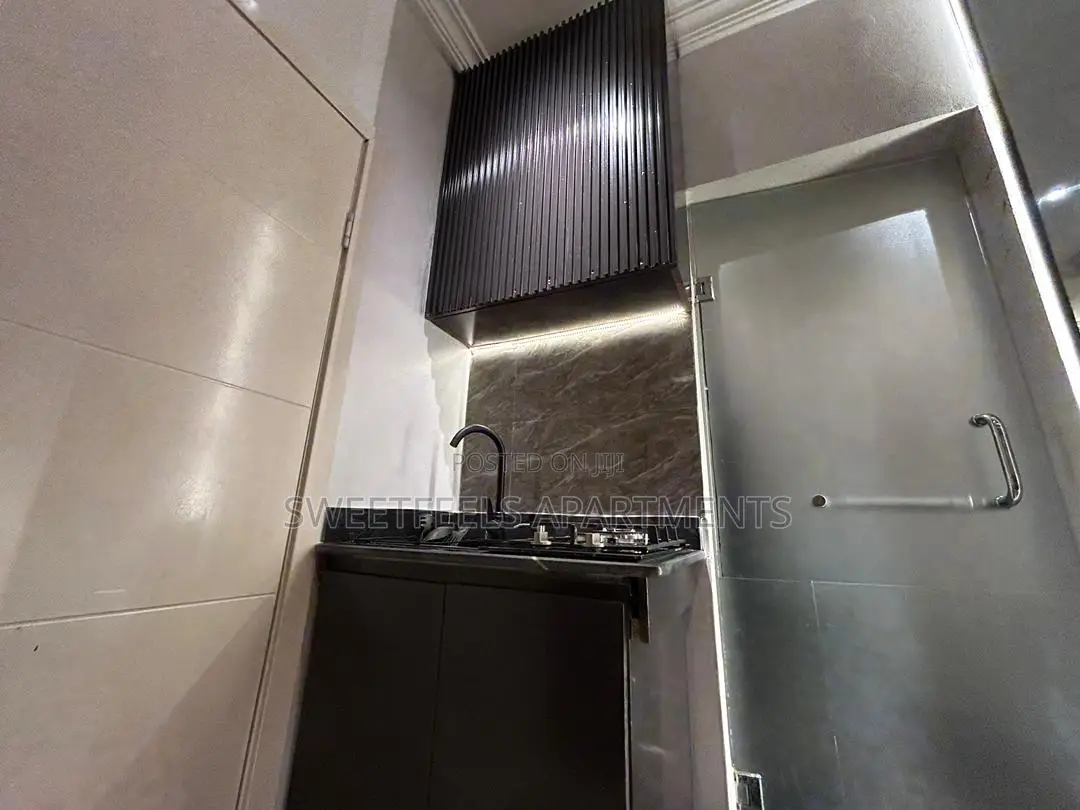 Luxury 1 Bedroom Shortlet Apartment. in Chevron