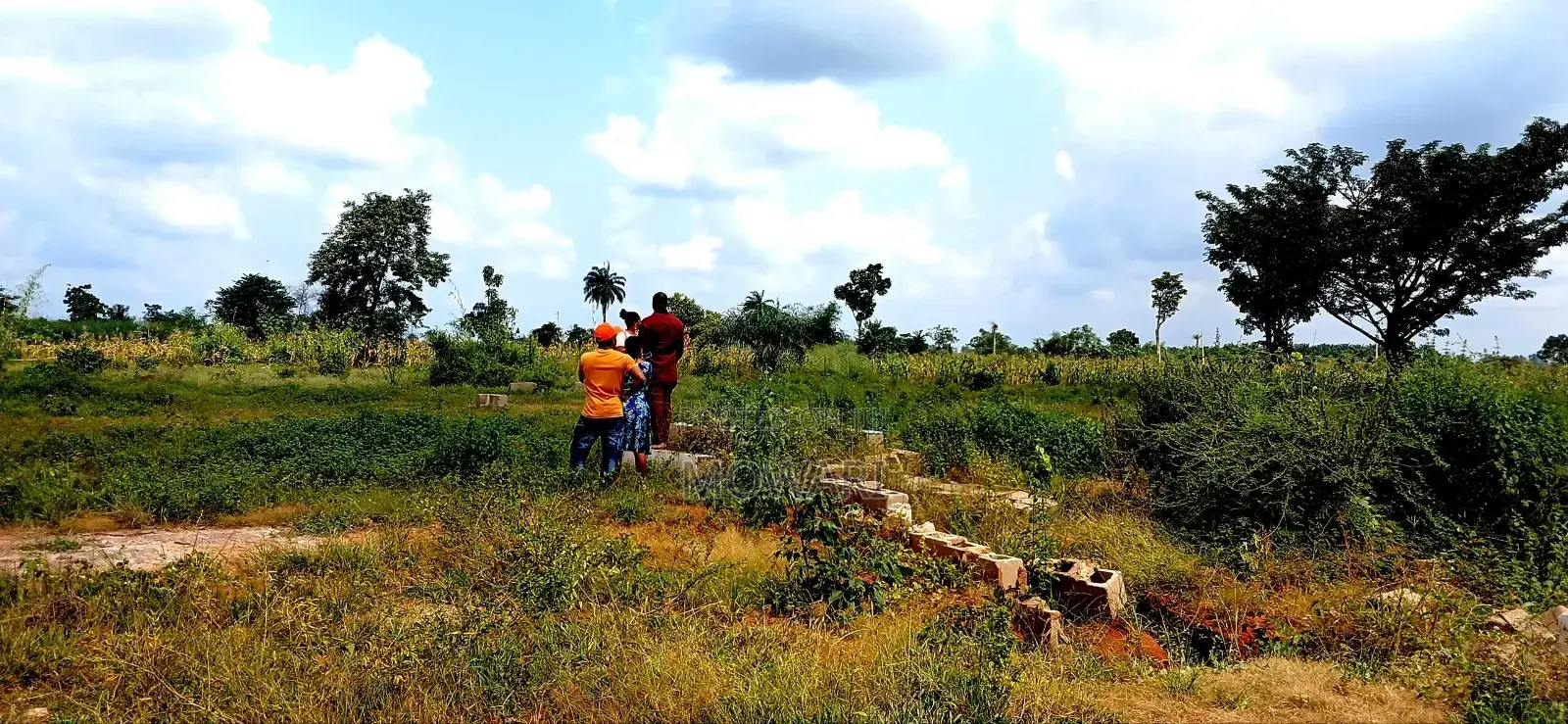 ₦3.5m 464sqm Land for Sale in Issele-Mkpetime • Greenland Phase 3 in Aniocha North