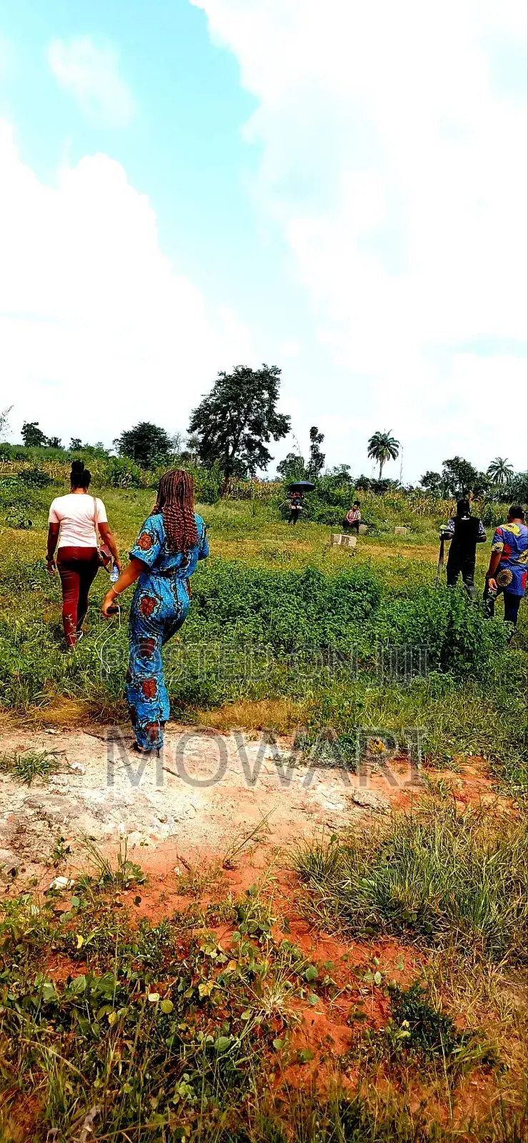 464sqm Land in Greenland Phase 2, Issele-Mkpetime • in Aniocha North