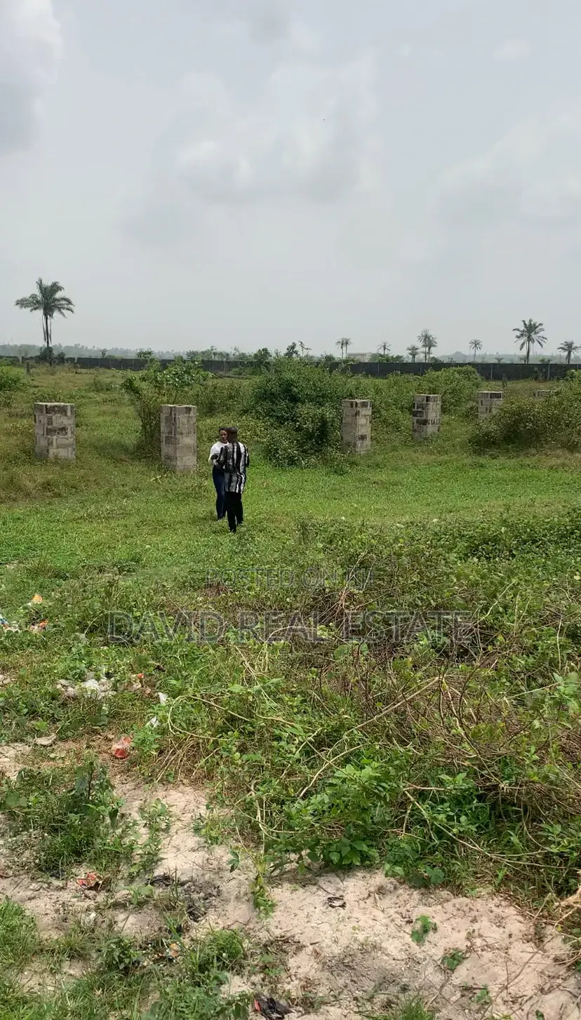 Verified Land in Obirikwere, Airport Road in Obio-Akpor