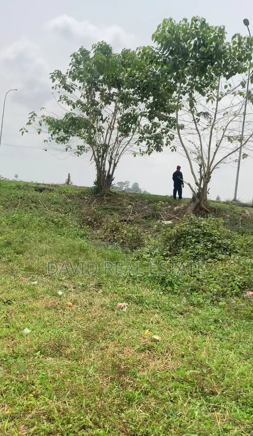 Verified Land in Obirikwere, Airport Road in Obio-Akpor