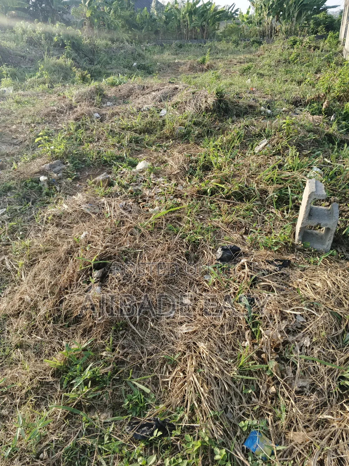 Half Plot of Land With C of O for Sale in Ishefun Ayobo in Ayobo