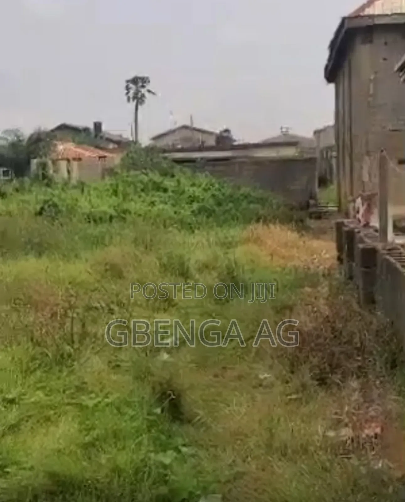 Half Plot of Land for Sale at Ijegun Lagos in Akesan