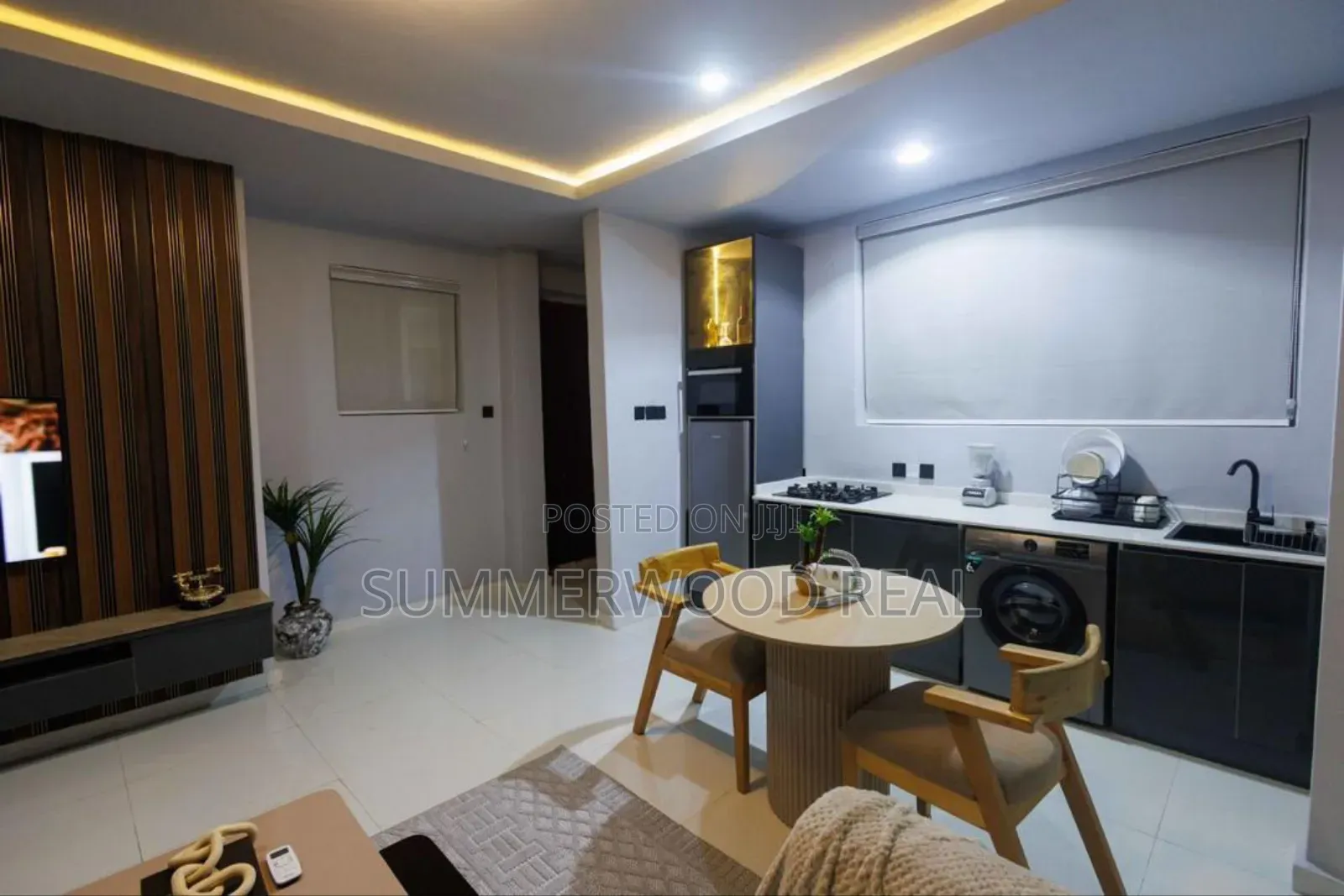 Furnished 1bdrm Apartment in Ikoyi for rent in Ikoyi