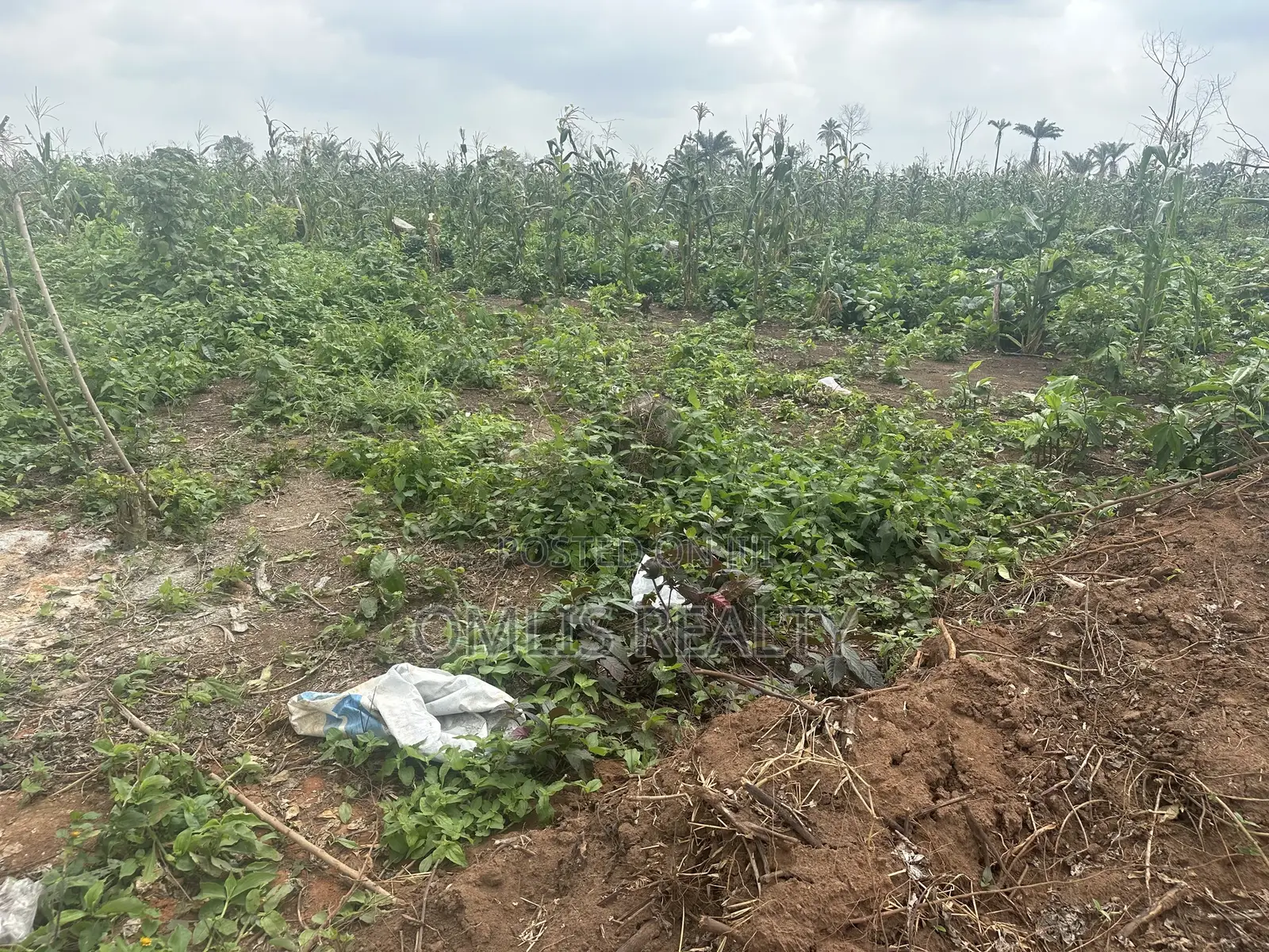 Lands for Sale at Richland City, Obafemi-Owode, Ogun State in Ogun State