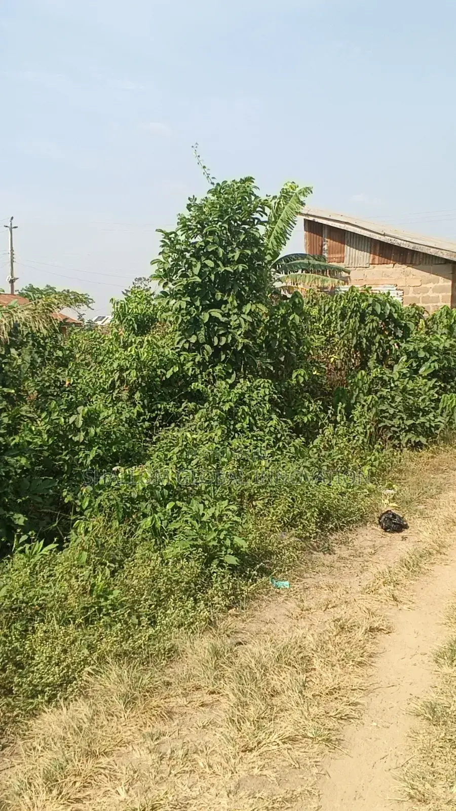 Plot Land for Sale in Akobo
