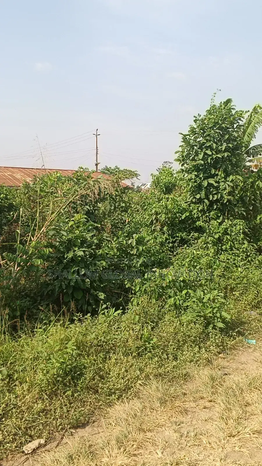 Plot Land for Sale in Akobo