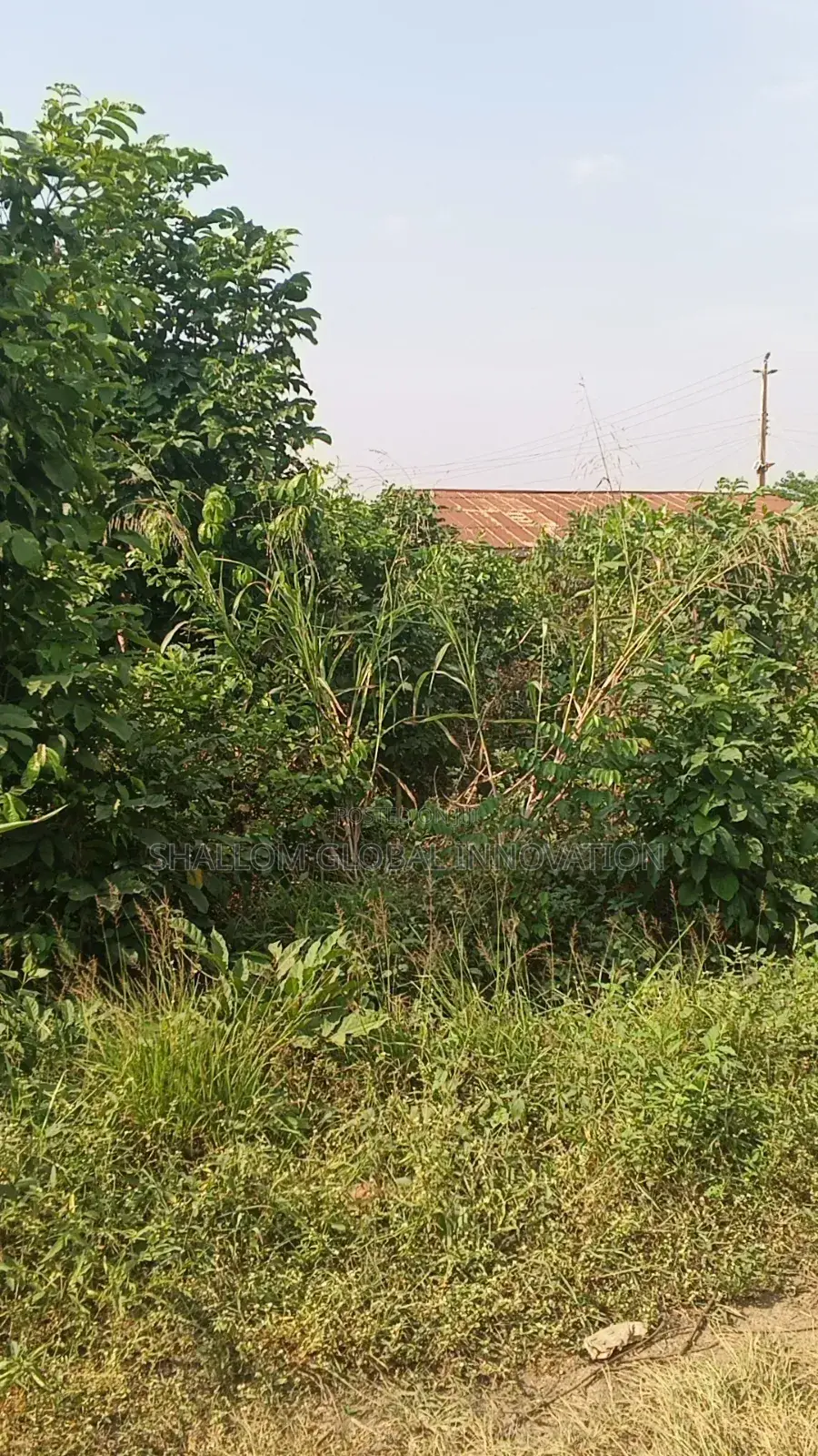 Plot Land for Sale in Akobo