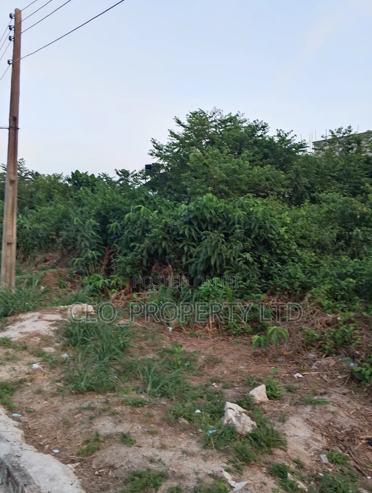 24hrs Light Estate Selling 450sqm 70million Cofo in Bogije